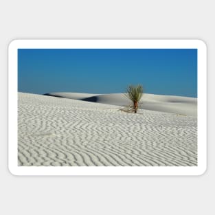 Lonely Yucca at White Sand Dunes Sticker